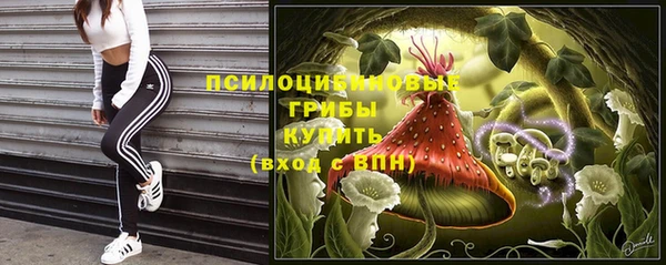 соль курить ск Белокуриха