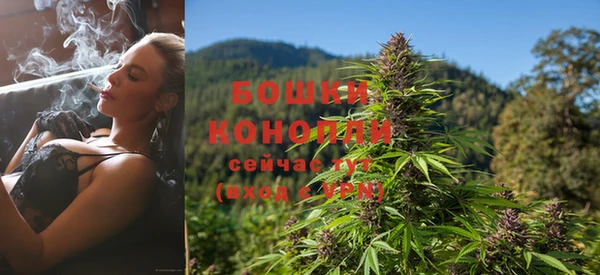кокаин Богданович