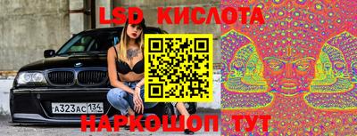 ECSTASY Новозыбков