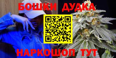 ECSTASY Новозыбков