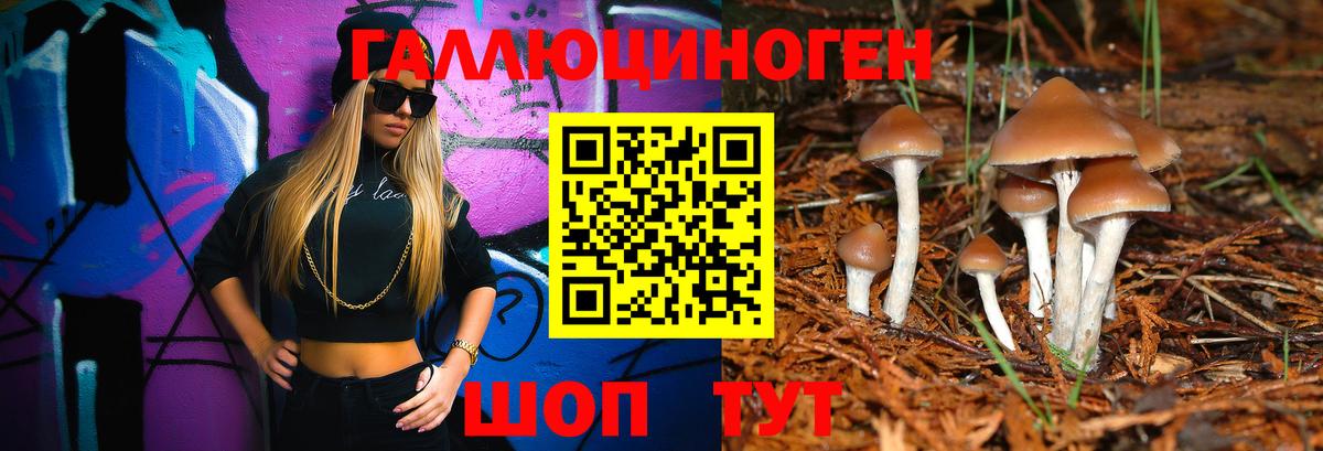 Псилоцибиновые грибы мицелий  Вход с VPN  Буйнакск 