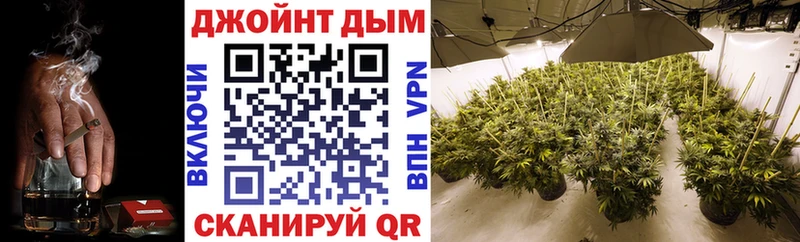 Канабис план  Буйнакск 